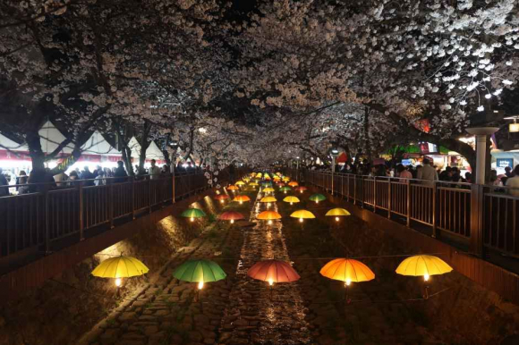 [사진 제공 창원특례시. 재판매 및 DB 금지]