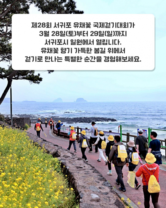 [사진 제공 서귀포시. 재판매 및 DB 금지]