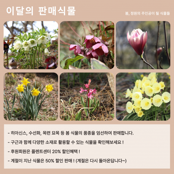 [사진 제공 천리포수목원. 재판매 및 DB 금지]