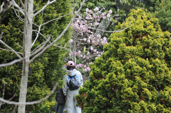 [사진 제공 천리포수목원. 재판매 및 DB 금지]