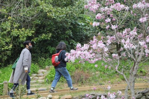 [사진 제공 천리포수목원. 재판매 및 DB 금지]