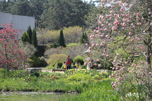 [사진 제공 천리포수목원. 재판매 및 DB 금지]