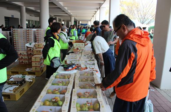 [사진 제공 부산 강서구청. 재판매 및 DB 금지]