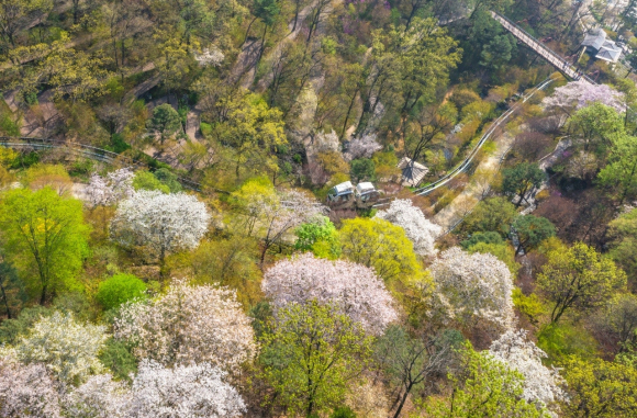 [사진 제공 화담숲. 재판매 및 DB 금지]