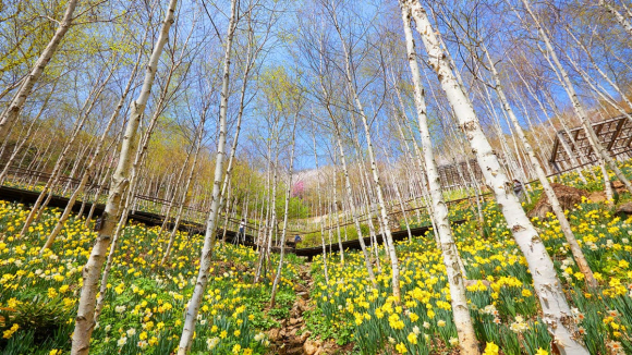[사진 제공 화담숲. 재판매 및 DB 금지]
