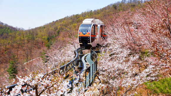 [사진 제공 화담숲. 재판매 및 DB 금지]
