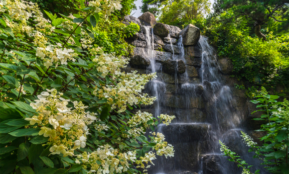 [사진 제공 화담숲. 재판매 및 DB 금지]