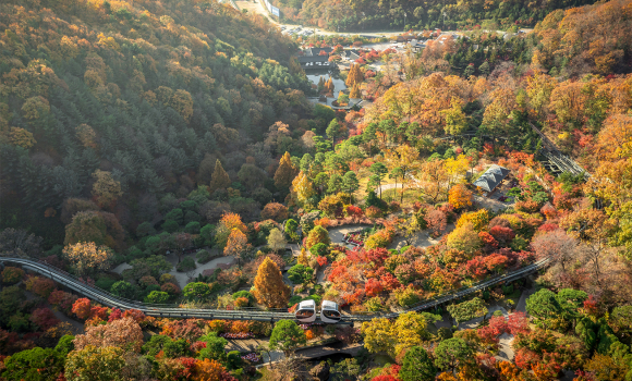 [사진 제공 화담숲. 재판매 및 DB 금지]