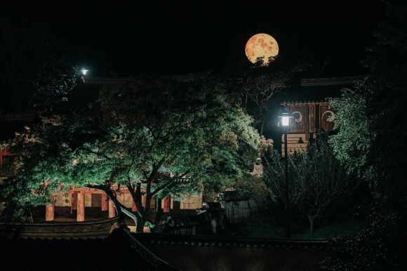 전통 건축물과 무형의 문화 콘텐츠가 결합한 형태로서, 세계유산의 보존과 활용이라는 공공 문화 행사의 균형을 보여주는 사례로 기록된다. [사진 제공 안동시. 재판매 및 DB 금지]