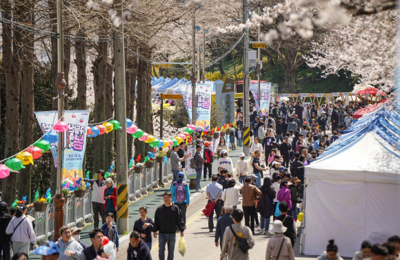 이번 축제는 ‘꽃피는 순간, 봄날의 소풍’을 주제로 화려한 개·폐막식이나 대형 퍼레이드 없이 자연 속에서 휴식하는 소풍 형태의 행사로 진행된다. [사진 제공 목포시. 재판매 및 DB 금지]
