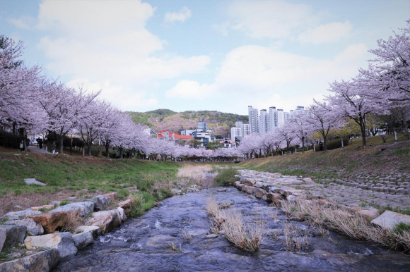 [사진 제공 김해시. 재판매 및 DB 금지]