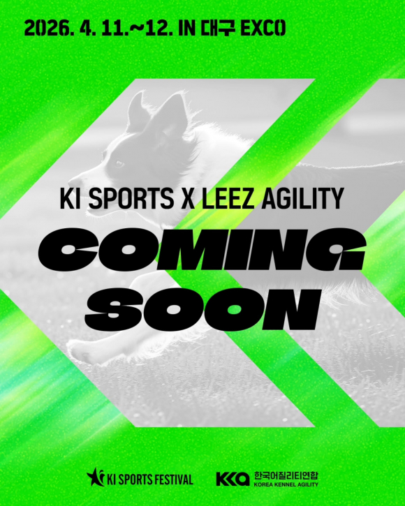 [사진 제공 키스포츠페스티벌. 재판매 및 DB 금지]