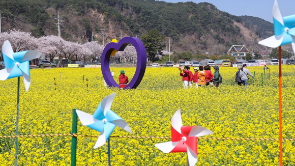 [사진 제공 삼척시. 재판매 및 DB 금지]
