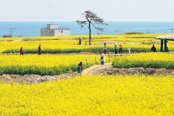 [사진 제공 포항시. 재판매 및 DB 금지]