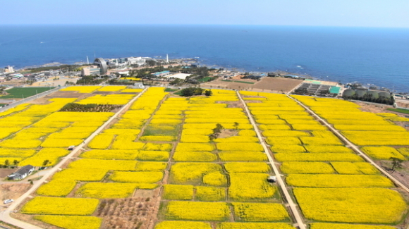 [사진 제공 포항시. 재판매 및 DB 금지]
