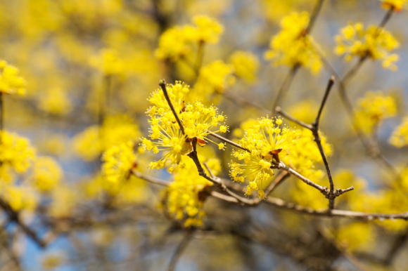 [사진 제공 이천시. 재판매 및 DB 금지]