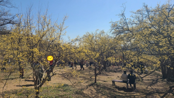 [사진 제공 이천시. 재판매 및 DB 금지]