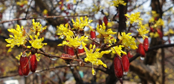 [사진 제공 이천시. 재판매 및 DB 금지]