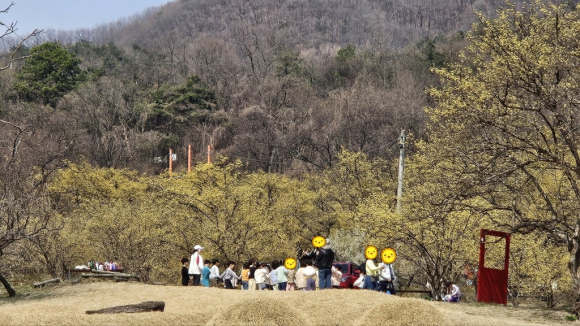 [사진 제공 이천시. 재판매 및 DB 금지]