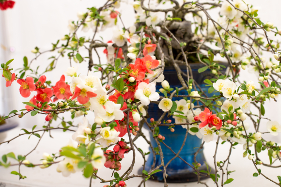 [사진 제공 옥천군. 재판매 및 DB 금지]