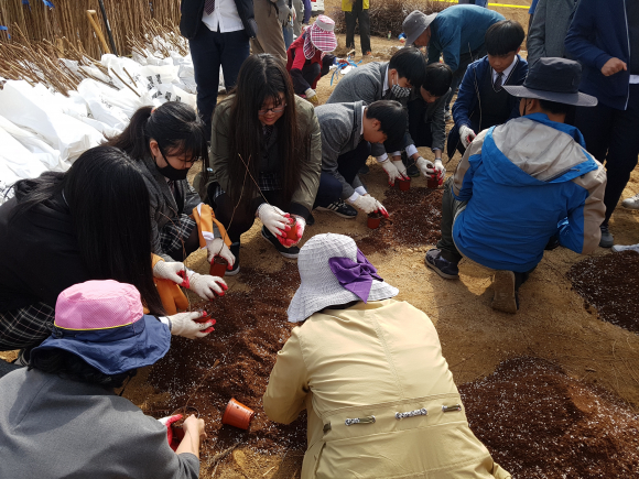 [사진 제공 옥천군. 재판매 및 DB 금지]