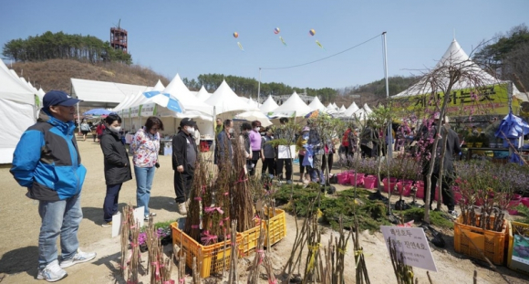 [사진 제공 옥천군. 재판매 및 DB 금지]