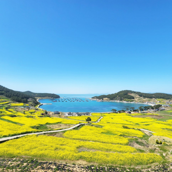 [사진 제공 완도군. 재판매 및 DB 금지]