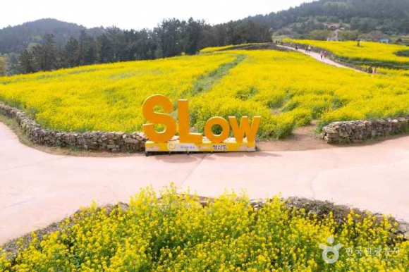 [사진 제공 한국관광공사. 재판매 및 DB 금지]