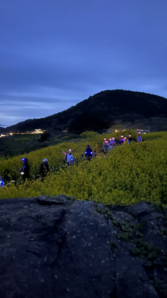 [사진 제공 완도군. 재판매 및 DB 금지]