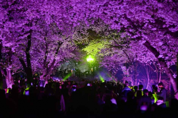 [사진 제공 경주시. 재판매 및 DB 금지]