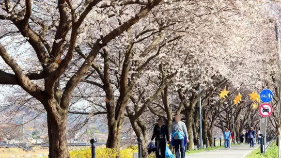 [사진 제공 보은군. 재판매 및 DB 금지]
