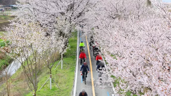 [사진 제공 보은군. 재판매 및 DB 금지]