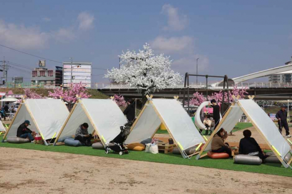 [사진 제공 보은군. 재판매 및 DB 금지]