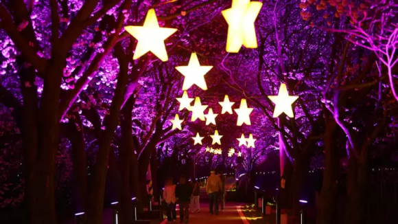 [사진 제공 보은군. 재판매 및 DB 금지]