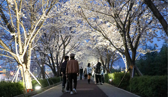 [사진 제공 강서구축제추진위원회. 재판매 및 DB 금지]