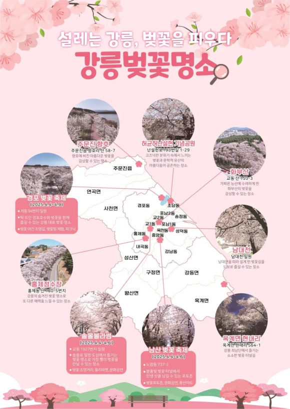 [사진 제공 강릉시. 재판매 및 DB 금지]