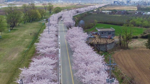 [사진 제공 양양군. 재판매 및 DB 금지]
