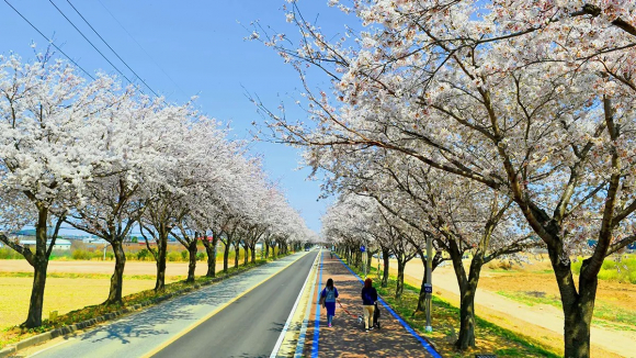 [사진 제공 한국관광공사 강원지사. 재판매 및 DB 금지]