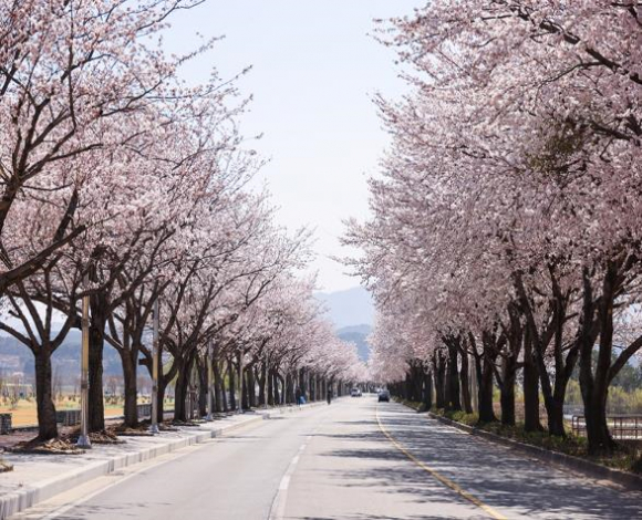 [사진 제공 양양군. 재판매 및 DB 금지]