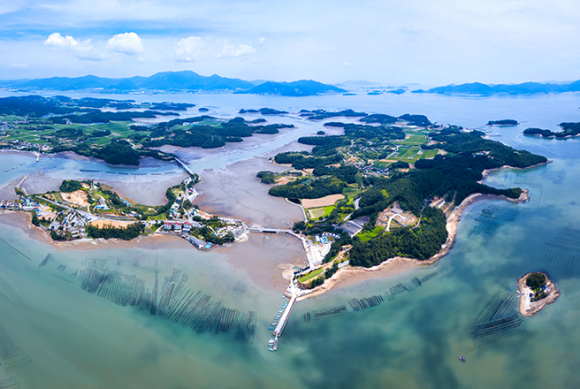 토끼와 거북이, 용왕이 등장하는 별주부전의 전설이 서려 있는곳! 비토섬 갯벌 [사진 제공 사천비토섬 별주부전축제추진위원회. 재판매 및 DB 금지]