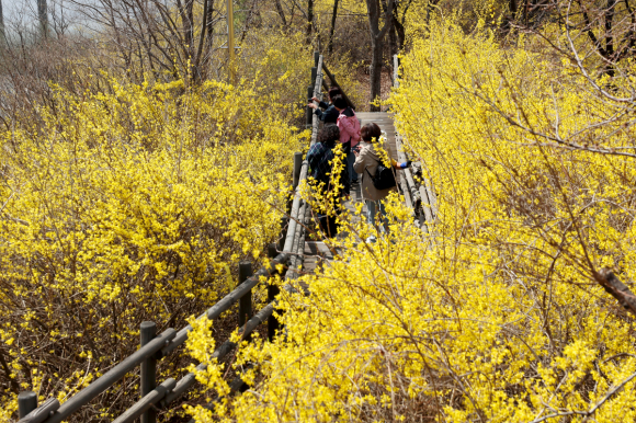 [사진 제공 성동구. 재판매 및 DB 금지]