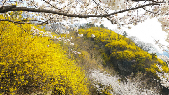 [사진 제공 FT스포츠. 재판매 및 DB 금지]