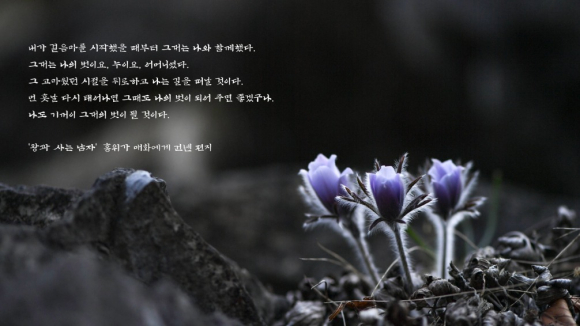 [사진 제공 정선읍문화체육축제위원회. 재판매 및 DB 금지]