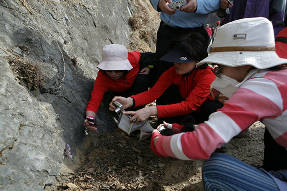 [사진 제공 정선읍문화체육축제위원회. 재판매 및 DB 금지]