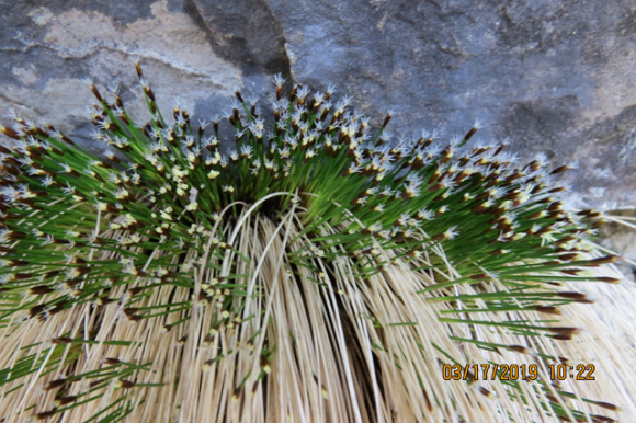 [사진 제공 정선읍문화체육축제위원회. 재판매 및 DB 금지]