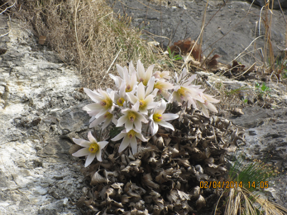 [사진 제공 정선읍문화체육축제위원회. 재판매 및 DB 금지]