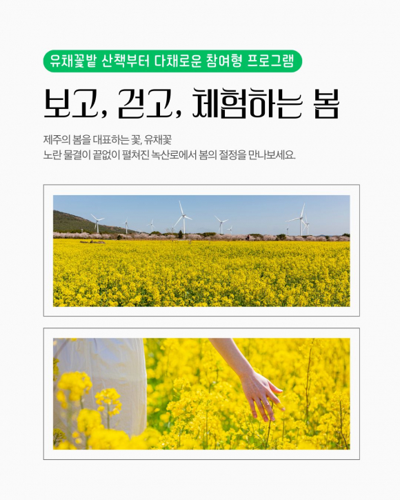 [사진 제공 서귀포시. 재판매 및 DB 금지]