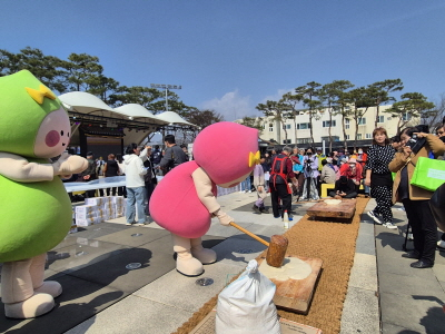 [사진 제공 공주시. 재판매 및 DB 금지]