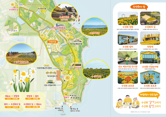 [사진 제공 신안군. 재판매 및 DB 금지]