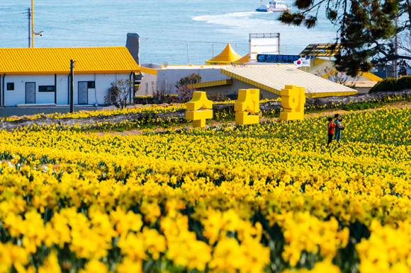 [사진 제공 신안군. 재판매 및 DB 금지]